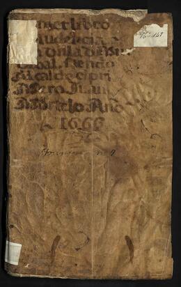 Libro 1 de Audiencias (1666-1753)