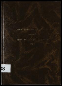 Libro 138 de Actas de Sesiones (2001)